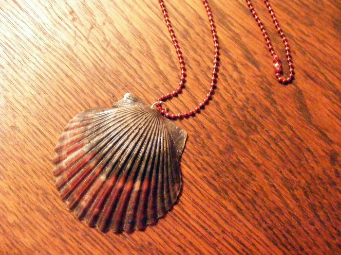 Item 009 Large shell necklace with matching earrings