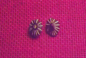 Item 017 Black or Brown Star Stud Earrings