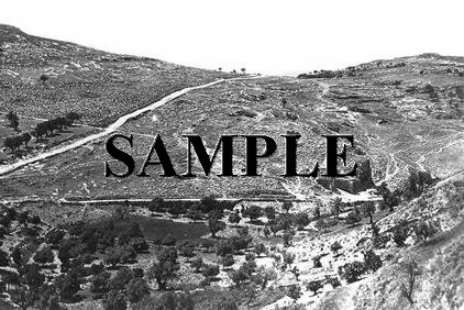 The kidron valley and the mount of olives in jerusalem and absalom's monument #2