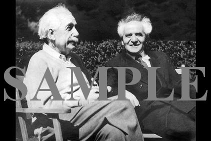 Albert Einstein with David ben gurion meeting in the united states wonderful photograph #3