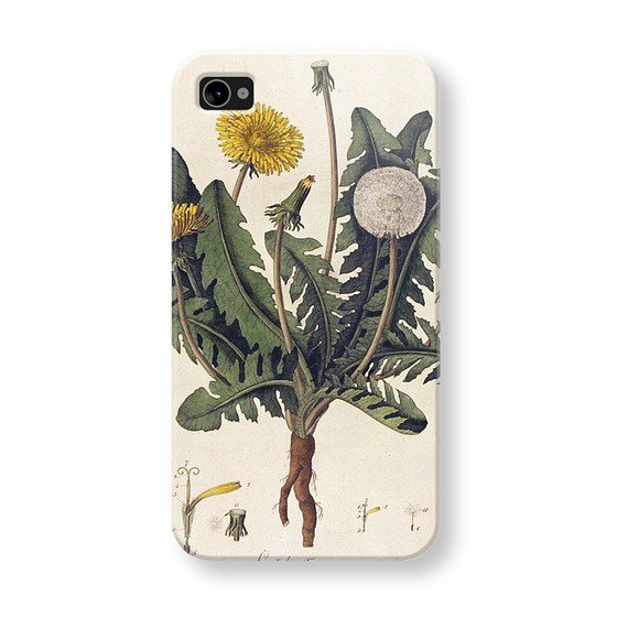 CII033, 10 pcs/lot Custom Printed iphone 4/4s Case wholesale & retail free shipping for bulk order