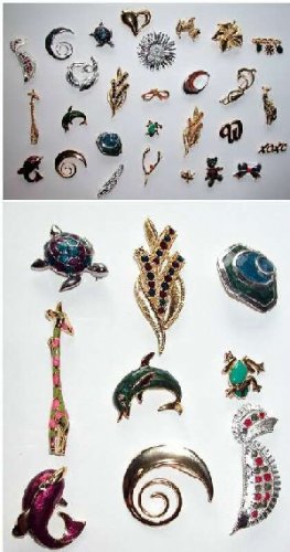 Assorted Quality Jewelry (Fashion Pins)