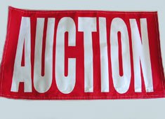 AUCTION 3 X 5 Fluorescent Banner (wholesale price)