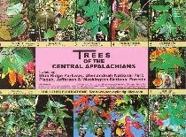 Trees of the Central Appalachians