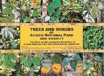 Trees and Shrubs of Acadia National Park and Vicinity
