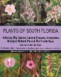 Plants of South Florida, Everglades National Park and the Florida Keys