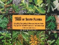 Native Trees of South Florida, Everglades National Park and the Florida Keys