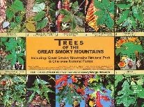 Trees of the Great Smoky Mountains