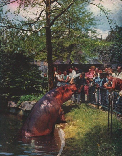 1956 The Face of America Article "Colossal Clown"