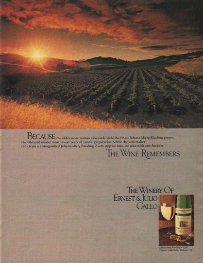 1980 Ernest & Julio Gallo Ad "Because"
