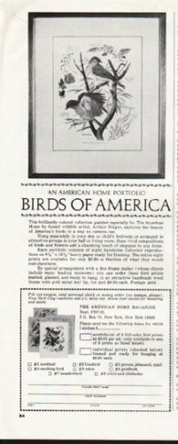 1964 Birds of America Ad ~ An American Home Portfolio