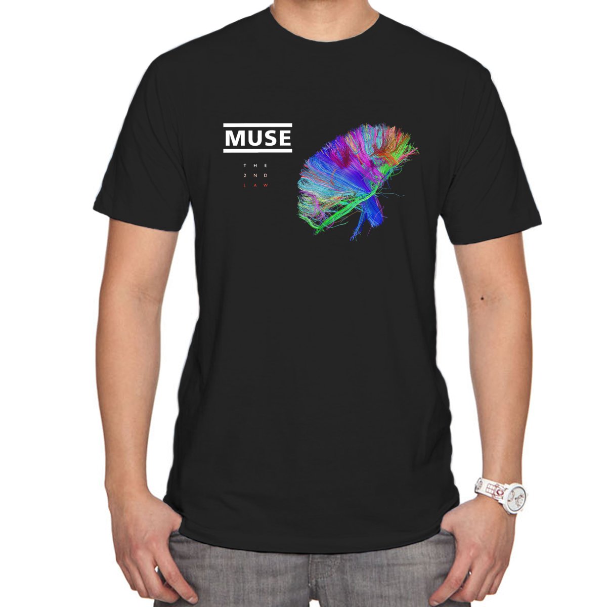 MUSE THE 2ND LAW