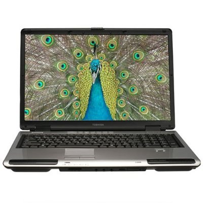 Toshiba Satellite P105-S9337 Laptop (2GB RAM / 200GB HD)