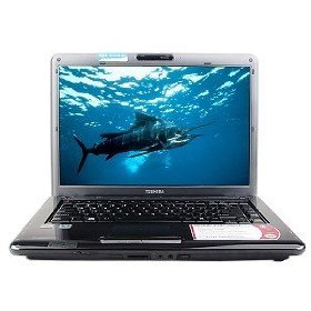 Toshiba Laptop 15.4" Display (3GB RAM / 250GB HD)