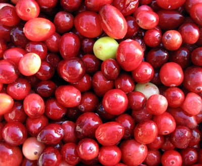 Sweet Cranberry Cocktail (soy wax tarts)