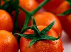 Tomato Leaf (soy wax tarts)