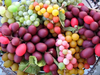 Grapesicle (soy wax tarts)