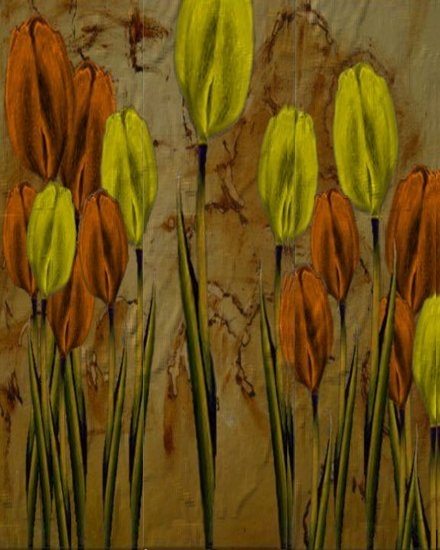 Golden Tulips