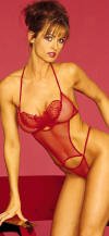 Fantasy Soft Mesh G-String Bodysuit with Butterfly Applique