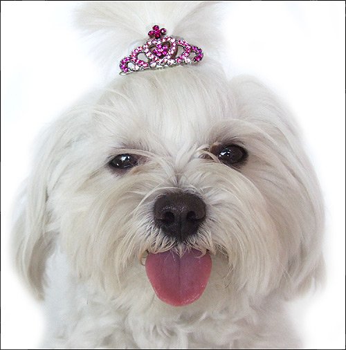 Swarovski Crystal Crown Hair Pin