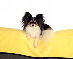 Car & Home Throw Blanket