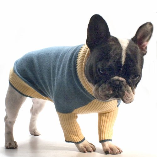 Rodeo Drive Sweater Blue/Yellow