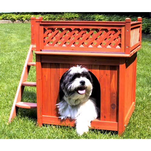 Small Room with a View- Dog House