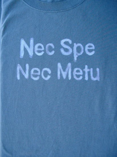 Nec Spe Nec Metu