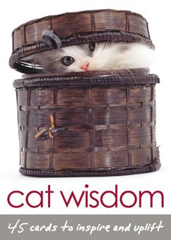 Cat Wisdom Cards