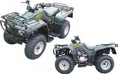 Big ATV-10-250cc
