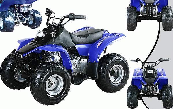 Dirt Devil 70cc-Fully Automatic