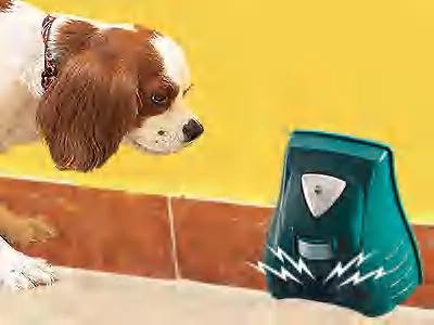 Animal Chaser and Burglary Alarm