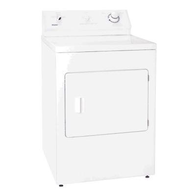 Super Capacity Electric Dryer 22 lbs.