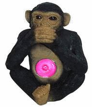 Monkey Spotlight