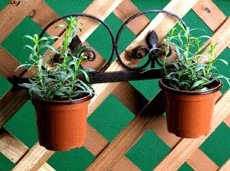 Planter Set Wall