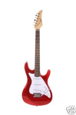 Professional Electric Guitar