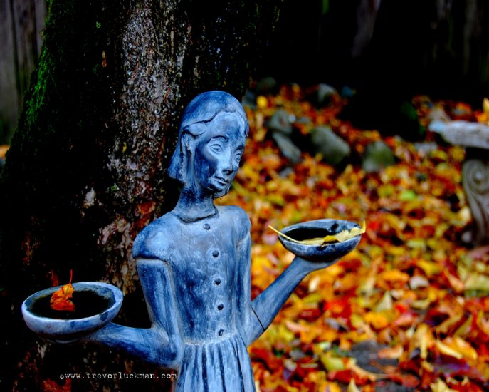 Balance of Leaves - 8x10 - Original Fine Art Photograph