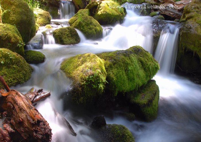 Watson Falls Spring - 5x7 - Original Fine Art Photograph