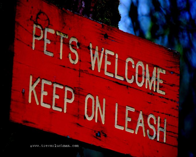 Keep em on a Leash - 8x10 - Original Fine Art Photograph