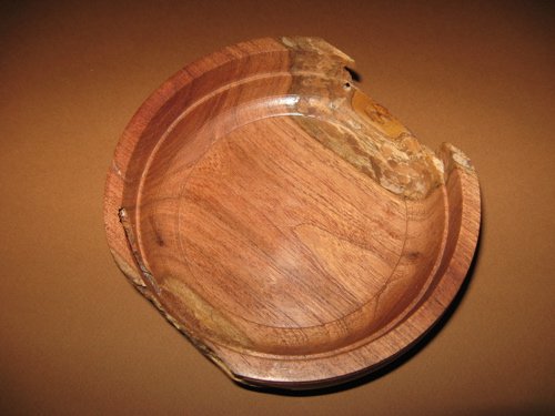 Termite Bowl