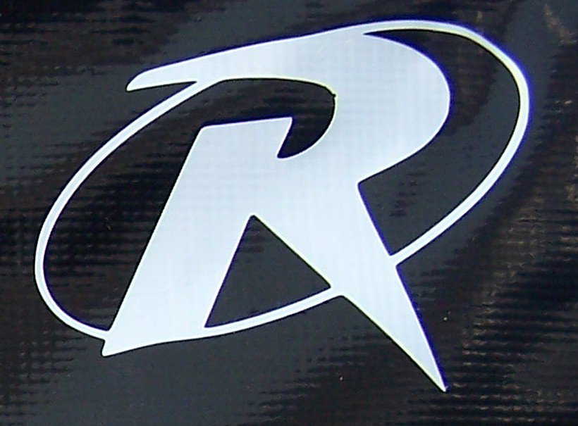 Robin Logo