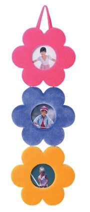 Plush Flower Hanging Frames