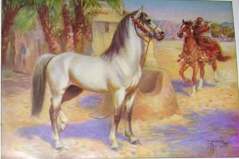 1923 ARABIAN HORSE PRINT by EDWARD H MINER Plate-10