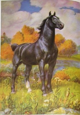 1923 GERMAN COACH HORSE PRINT by EDWARD H MINER Pl-12