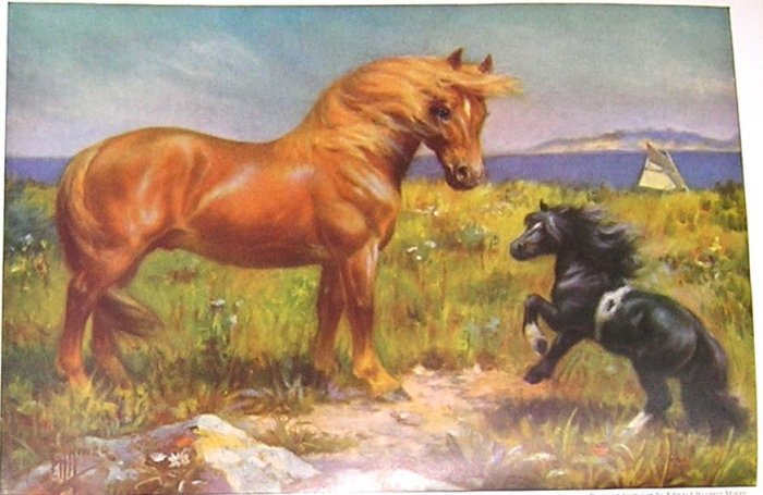 1923 SUFFOLK HORSE PRINT by EDWARD H MINER Plate-14