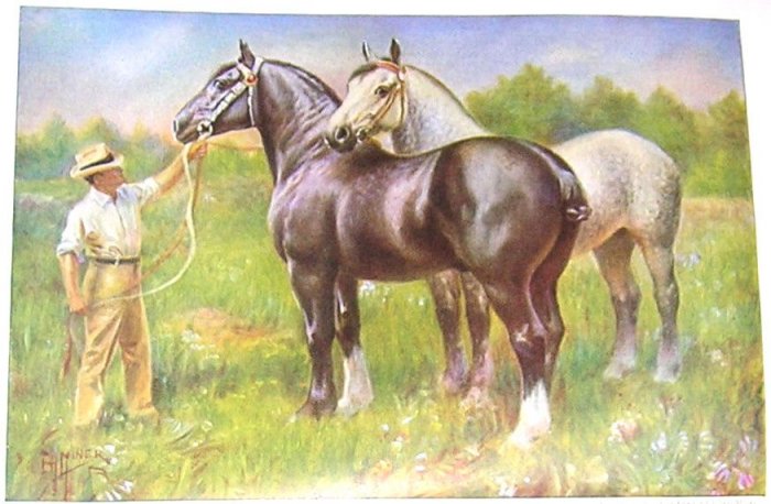 1923 PERCHERON HORSE PRINT by EDWARD H MINER Pl-18