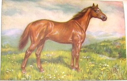 1923 THOROUGHBRED: MAN-OF-WAR PRINT by E H MINER Pl-19