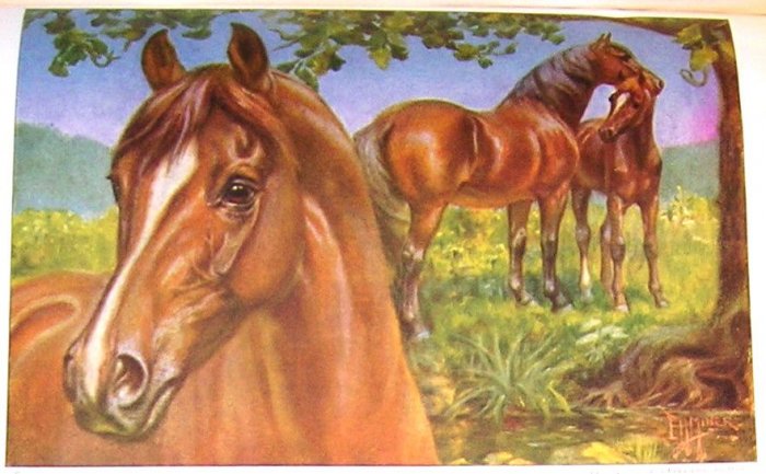 1923 MORGAN HORSE PRINT by EDWARD H MINER Plate-21