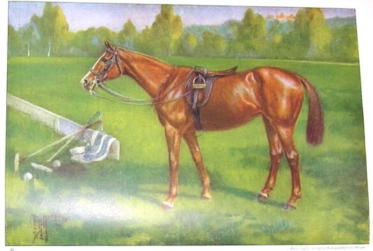 1923 POLO PONY (HORSE) PRINT by EDWARD H MINER Plate-22