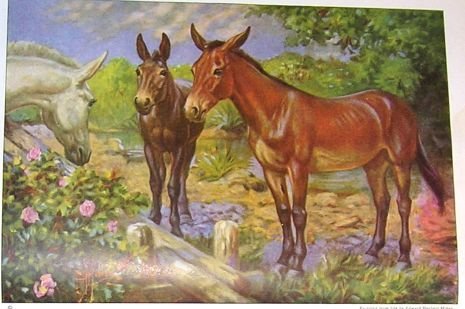1923 MULE (HORSE) PRINT by EDWARD H MINER Plate-24